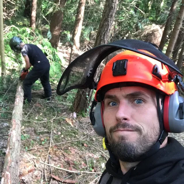 Tree Surgery