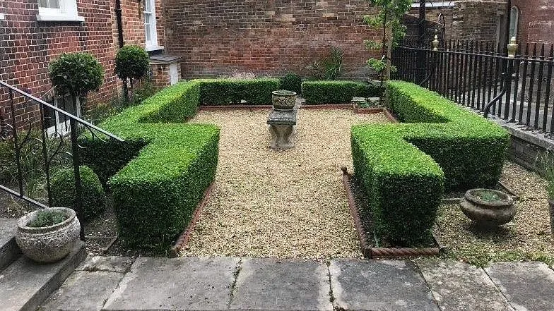 hedge trimming