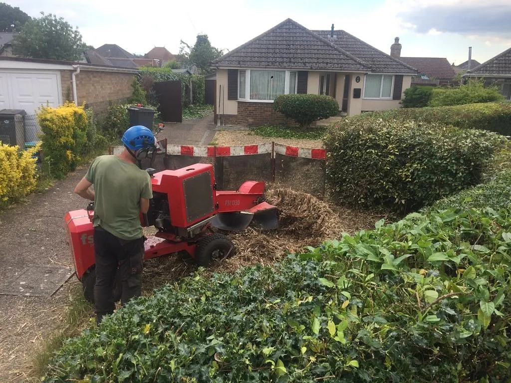 Stump removal