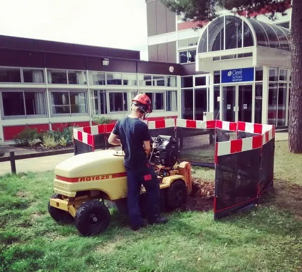 stump removal