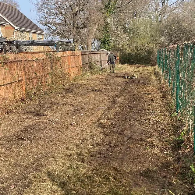 vegetation clearance