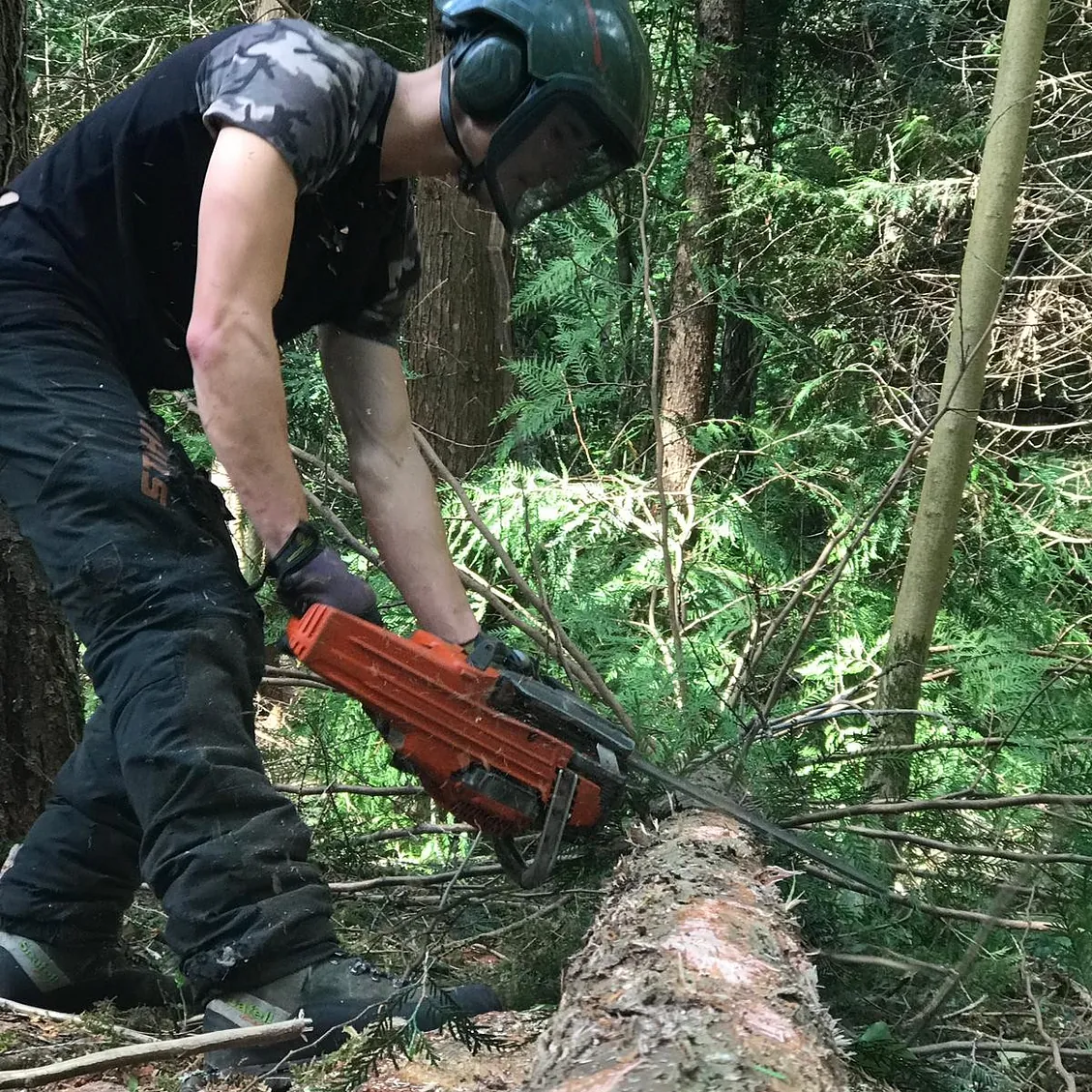 Tree Surgery