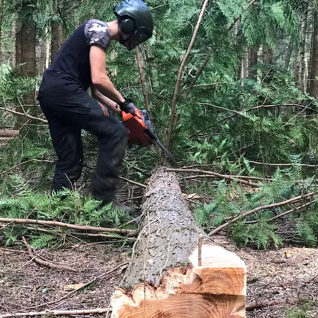 Tree Surgery