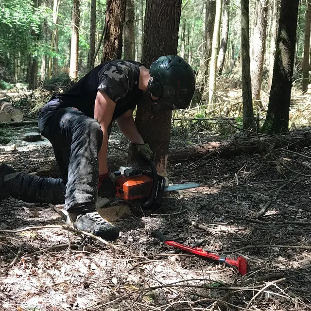 Tree Surgery