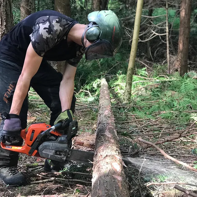 Tree Surgery