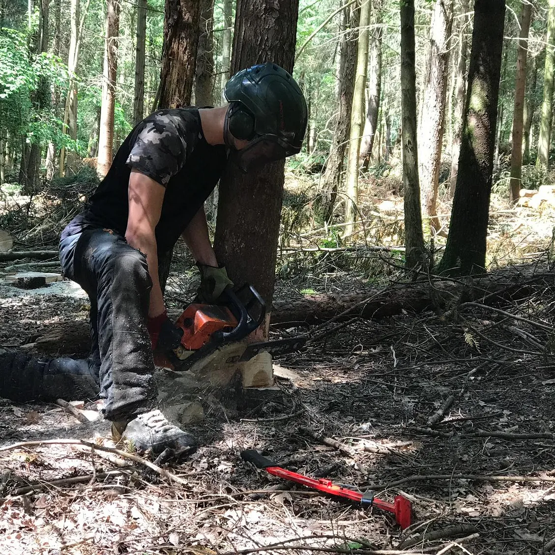 Tree Surgery