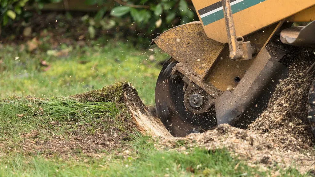 Stump removal