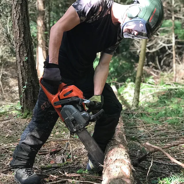 Tree Surgery