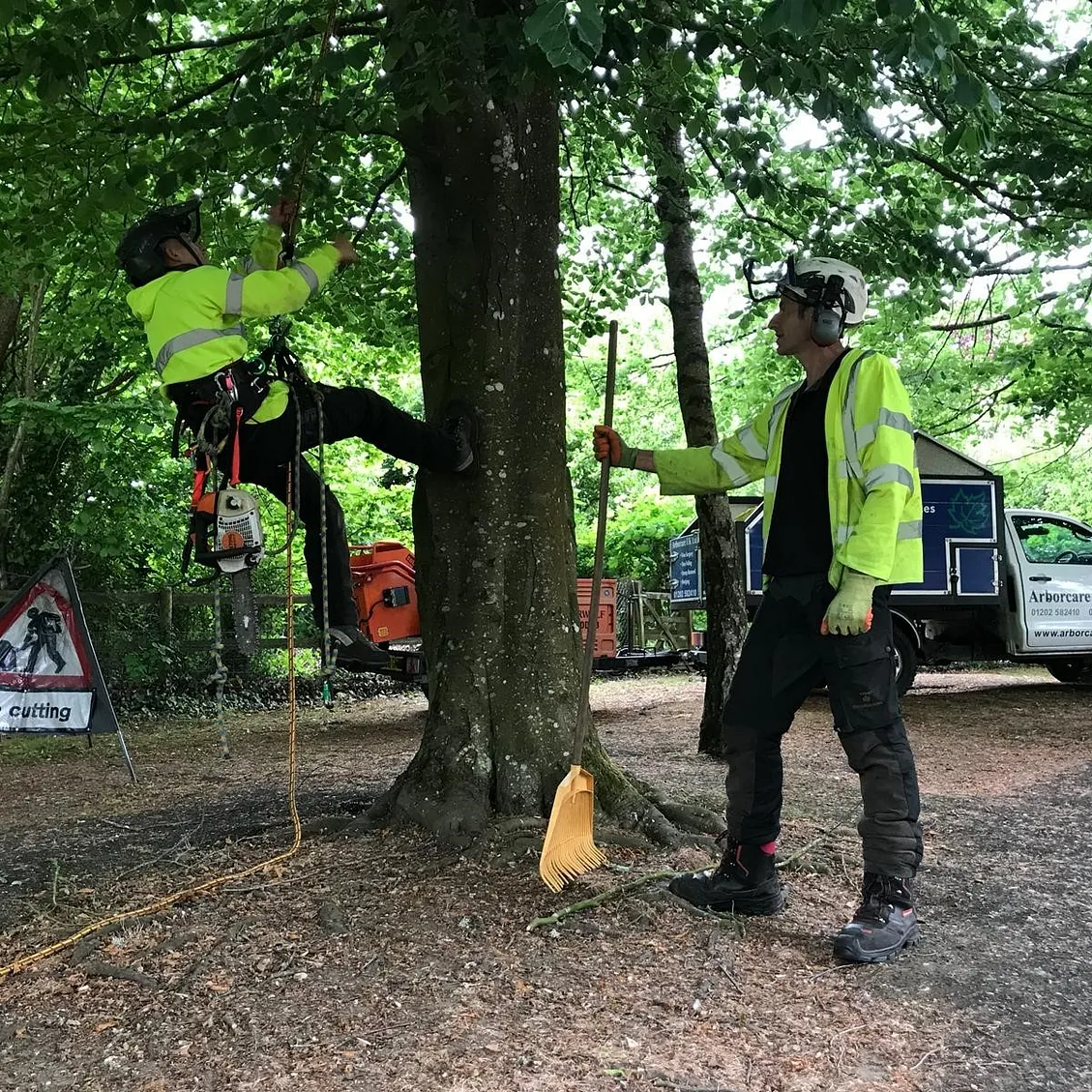 Tree Surgery