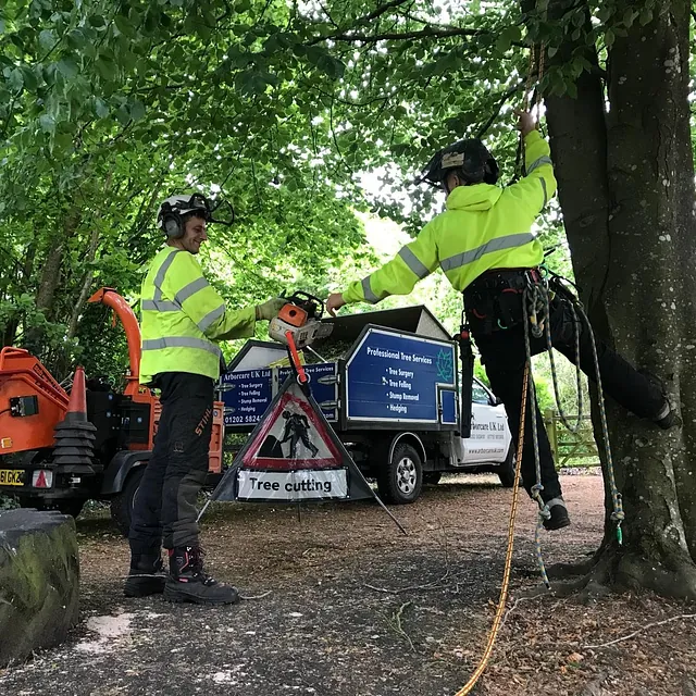 Tree Surgery