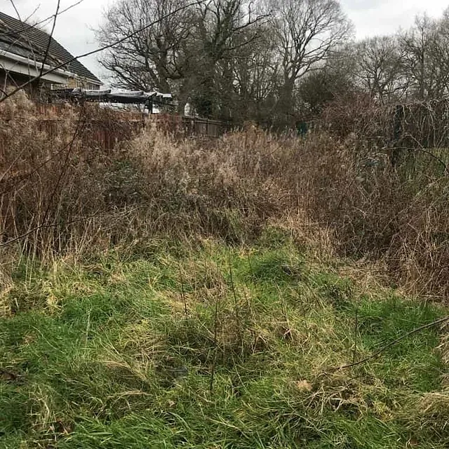 vegetation clearance