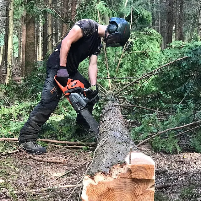 Tree Surgery