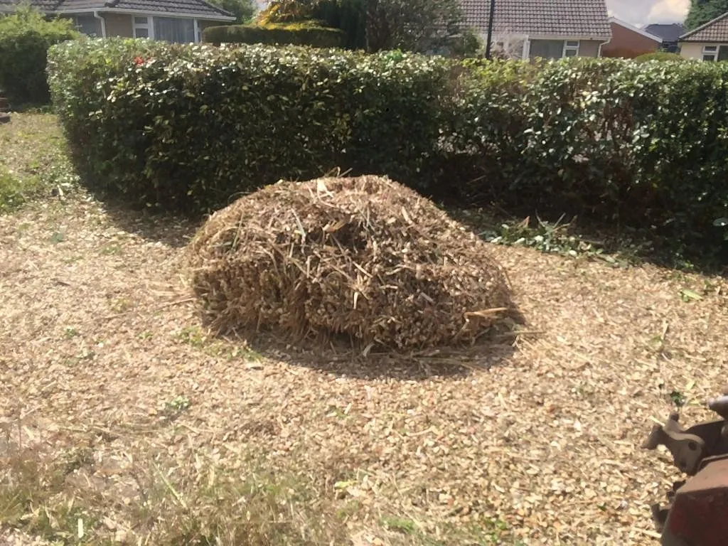 Stump removal