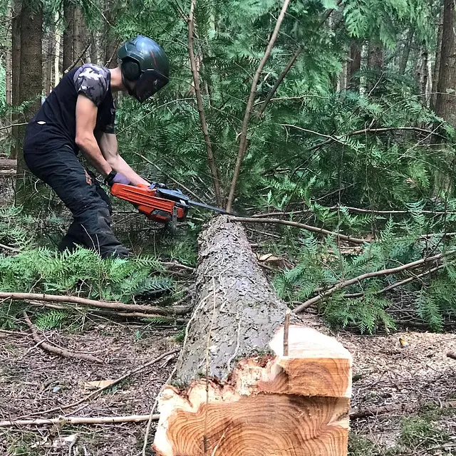 Tree Surgery