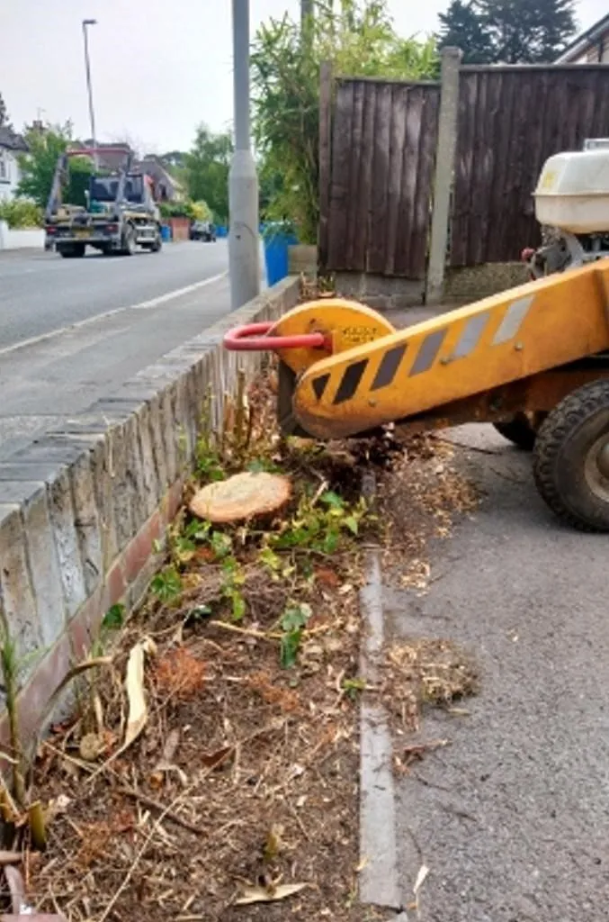 Stump removal